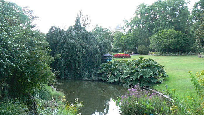 Jardin des plantes à Nantes